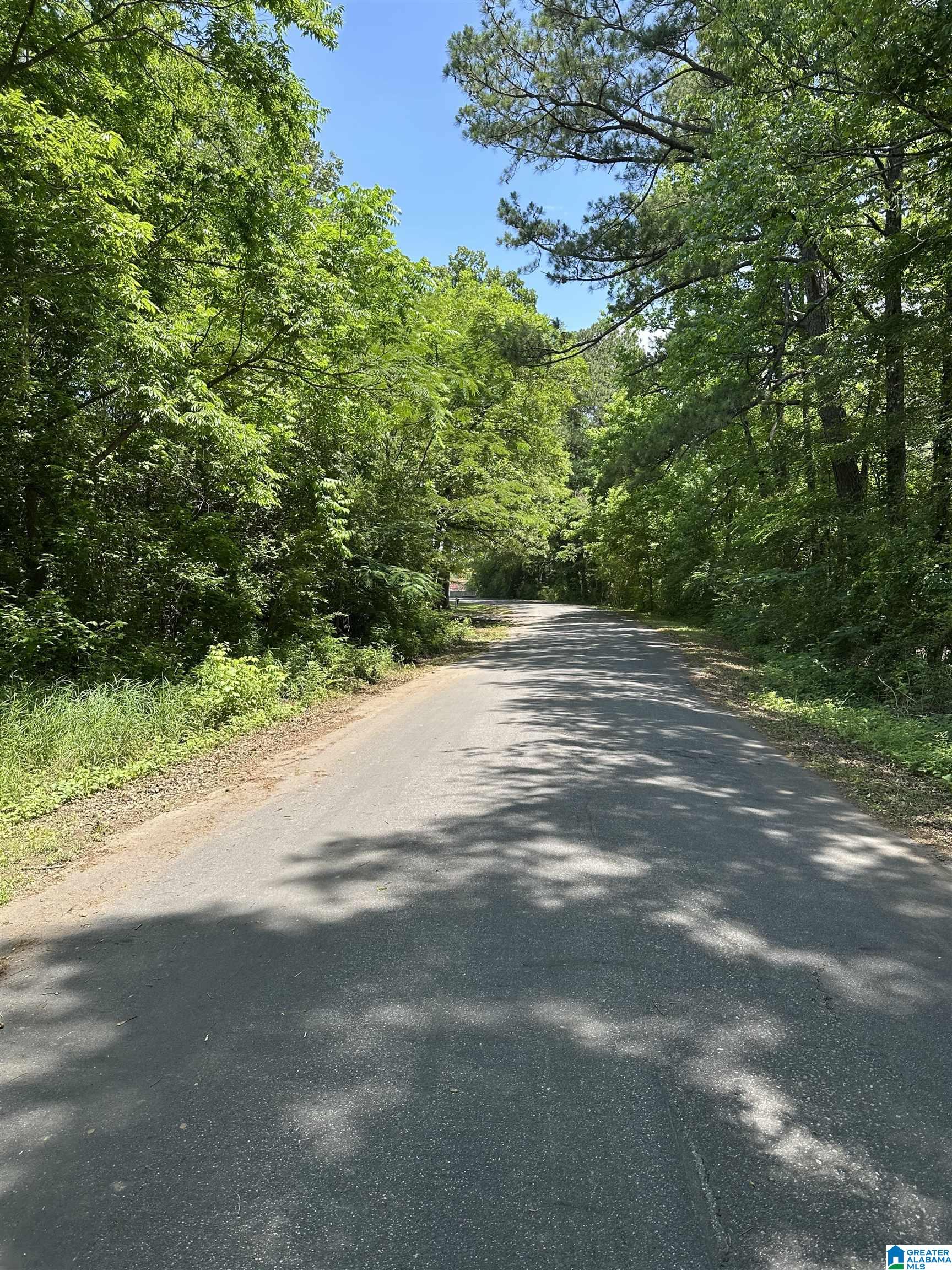 2716 Mary Taylor Road Birmingham, AL 35210 - Photo 1 of 10