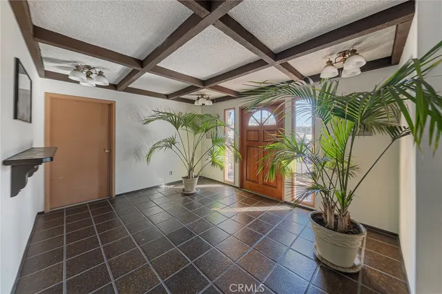 a view of a garage with a potted plant