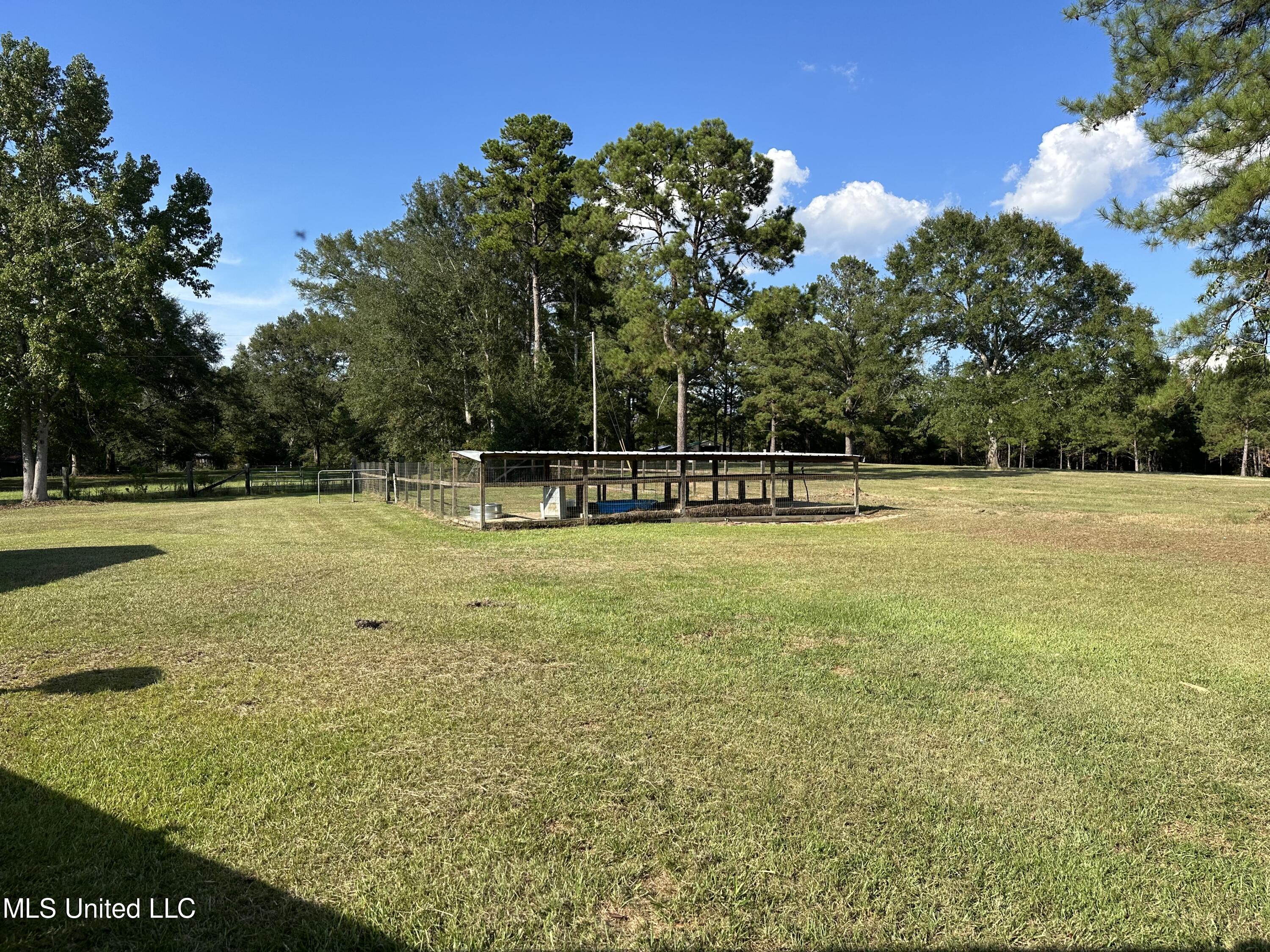 40 Warner Road Poplarville, MS 39470 - Photo 59 of 59 IMG_6767
