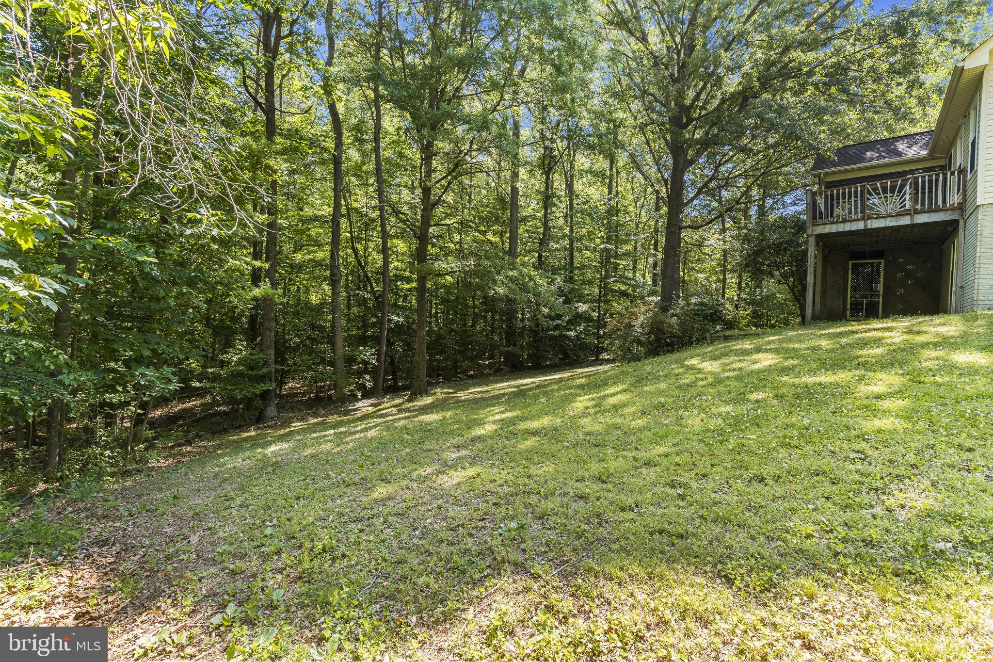 15440 Sorrel Ridge Lane Waldorf, MD 20601 - Photo 41 of 48 Backyard