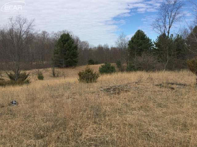 5281 Inman Road Southwest South Boardman, MI 49680 - Photo 4 of 92 20437574-3.JPG