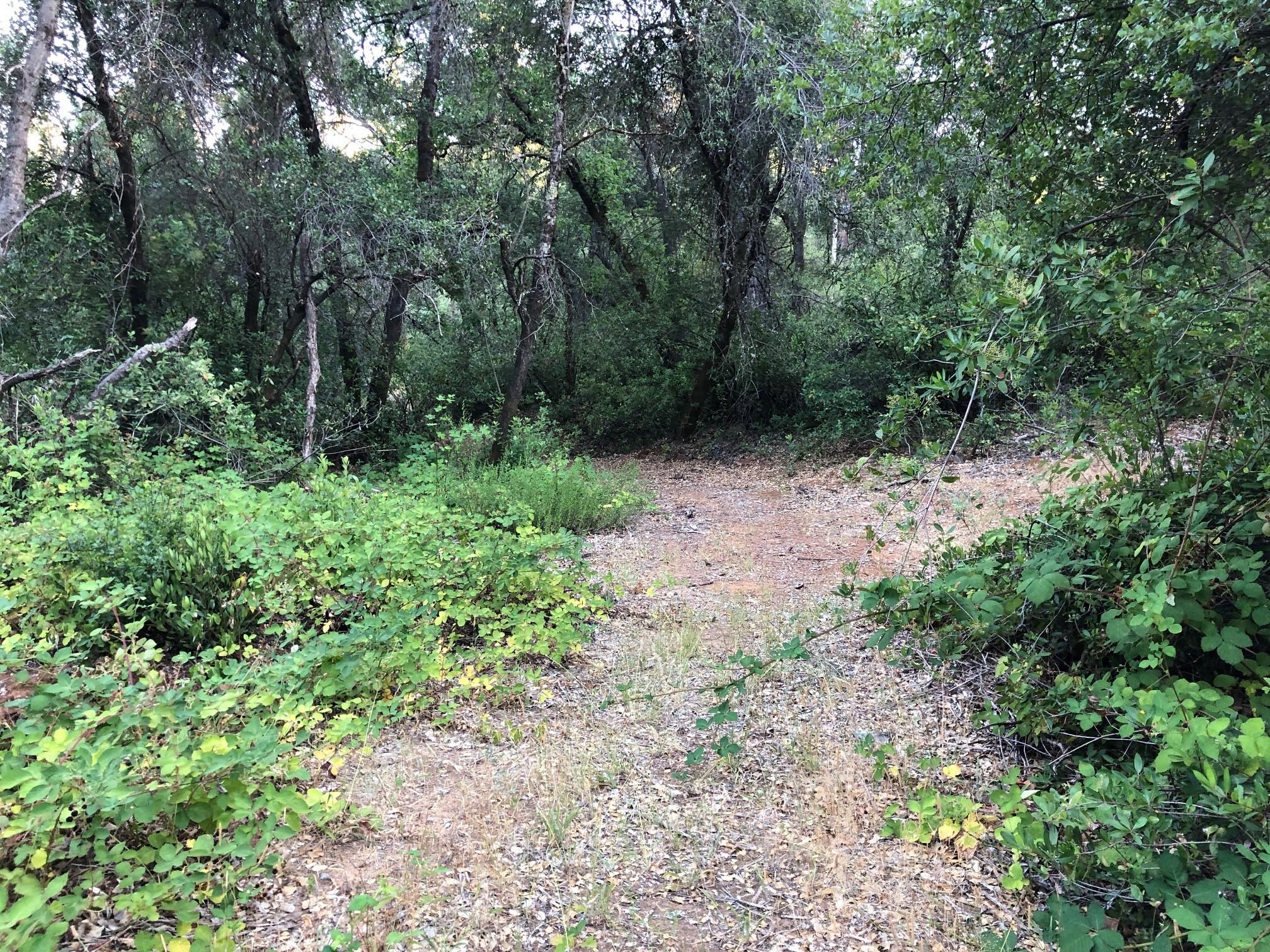 Road on property