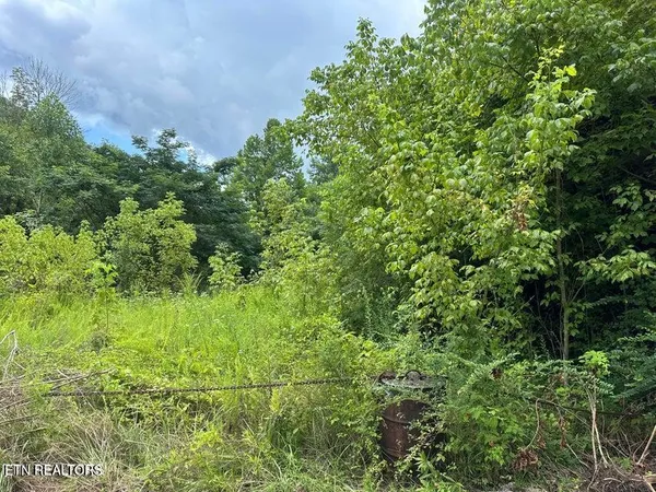 $75,000 | Ky-219, Wallins Creek, KY 40873