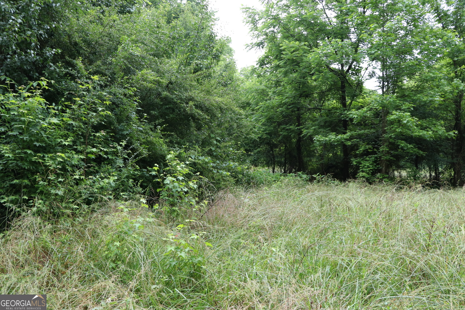 833 Neal Gap Road Summerville, GA 30747 - Photo 22 of 86