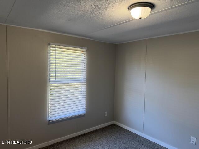 648 Reagan Valley Road Tellico Plains, TN 37385 - Photo 12 of 16 IMG_3802