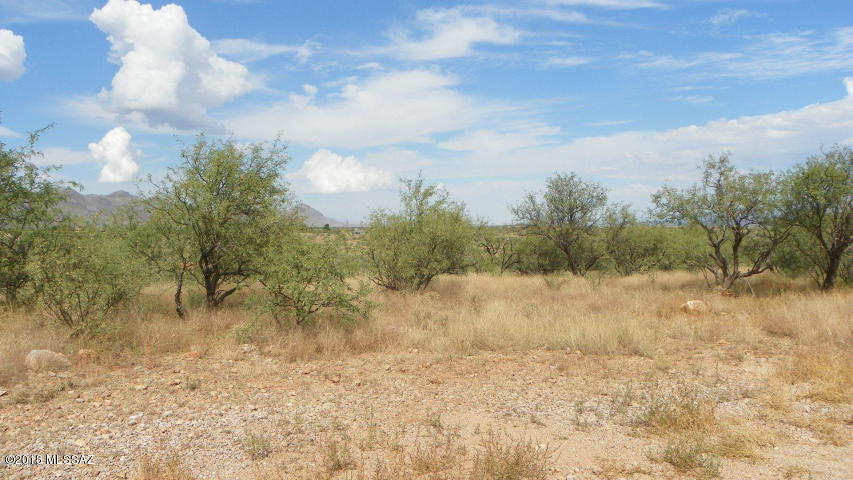1148 King Lane, Unit 11 Rio Rico, AZ 85648 - Photo 3 of 4