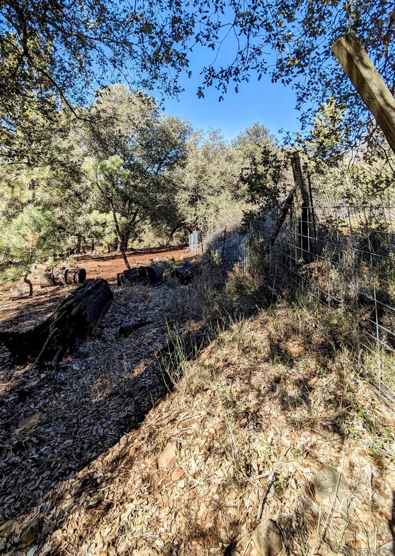 0 Pine Ridge Avenue Julian, CA 92036 - Photo 8 of 12 a view of a yard with a tree