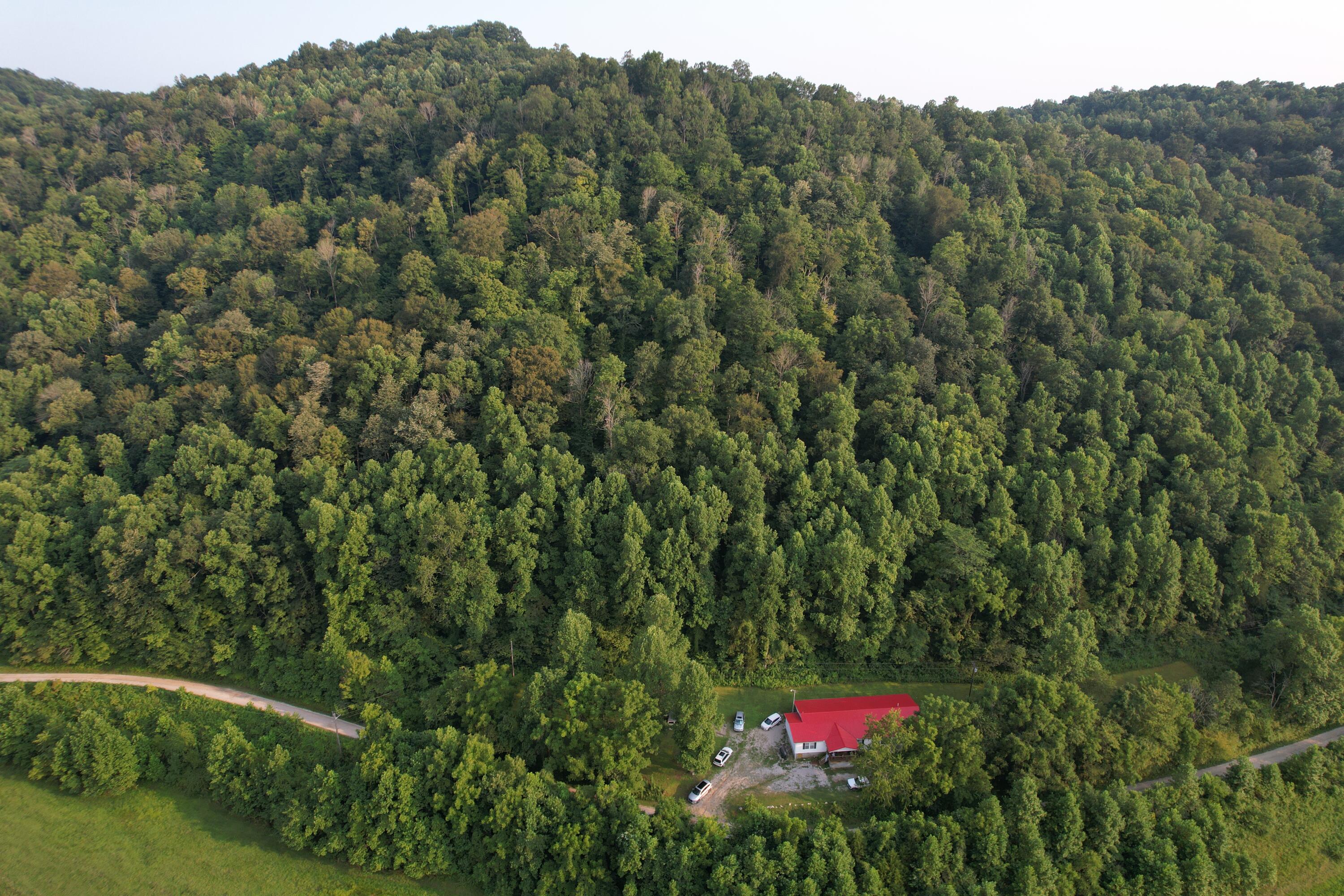 600 Billy Fork Road Irvine, KY 40336 - Photo 4 of 29 Photo_1080295527_DJI_103_jpg_10453855_0_