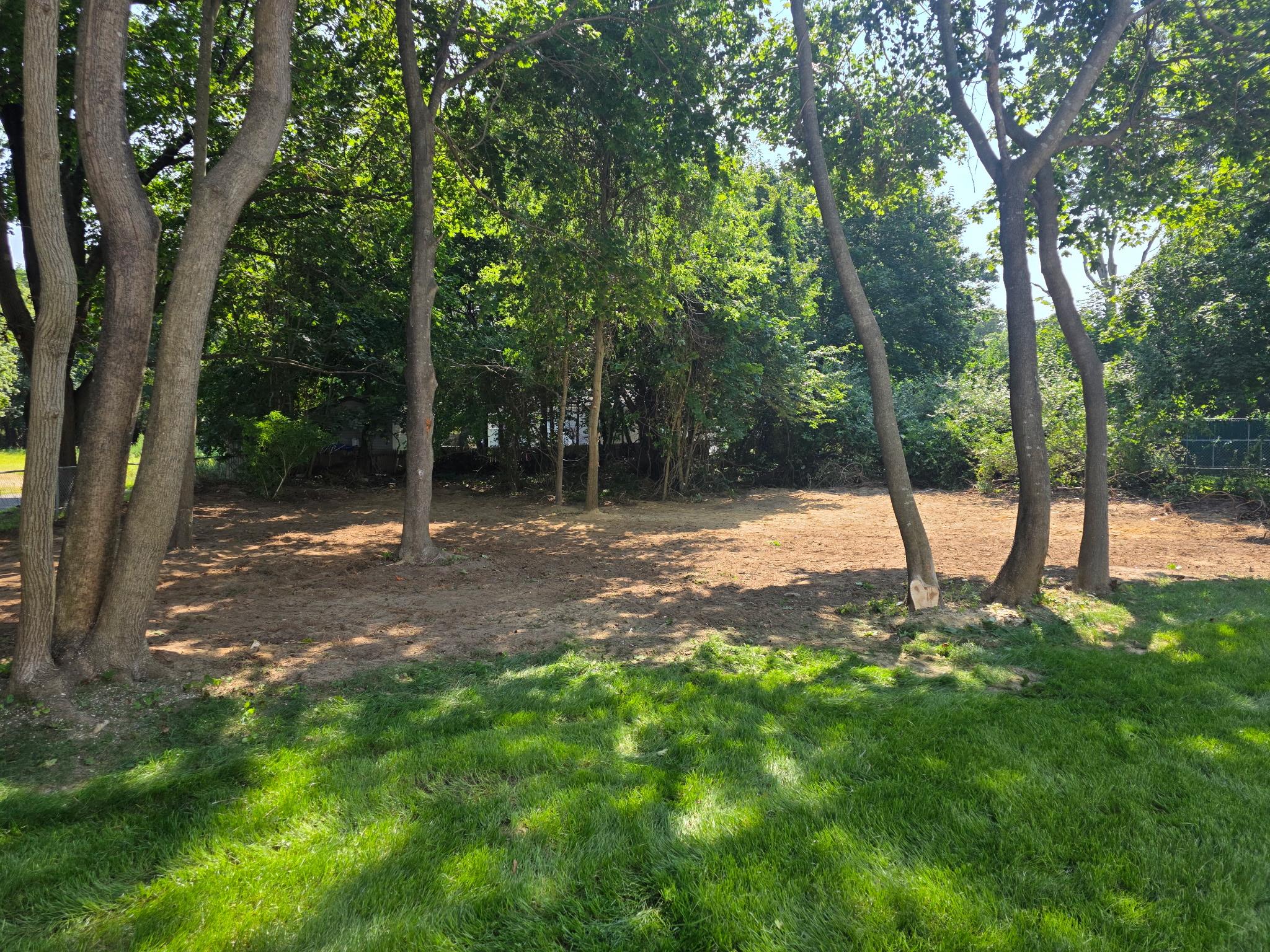 0 Mill Road Coram, NY 11727 - Photo 28 of 28 a view of a tree in a yard