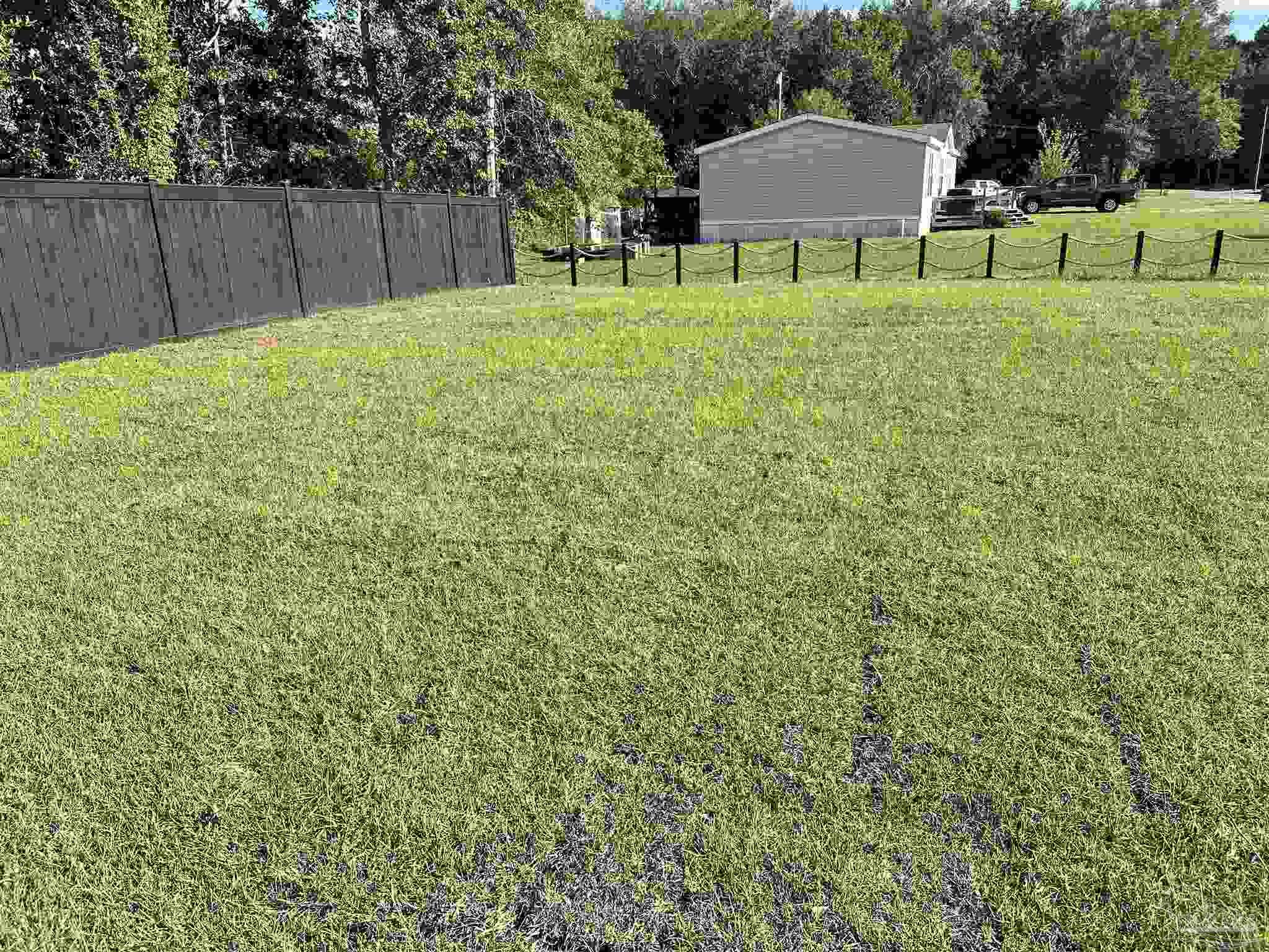 31 West Cottage Street Century, FL 32535 - Photo 8 of 36