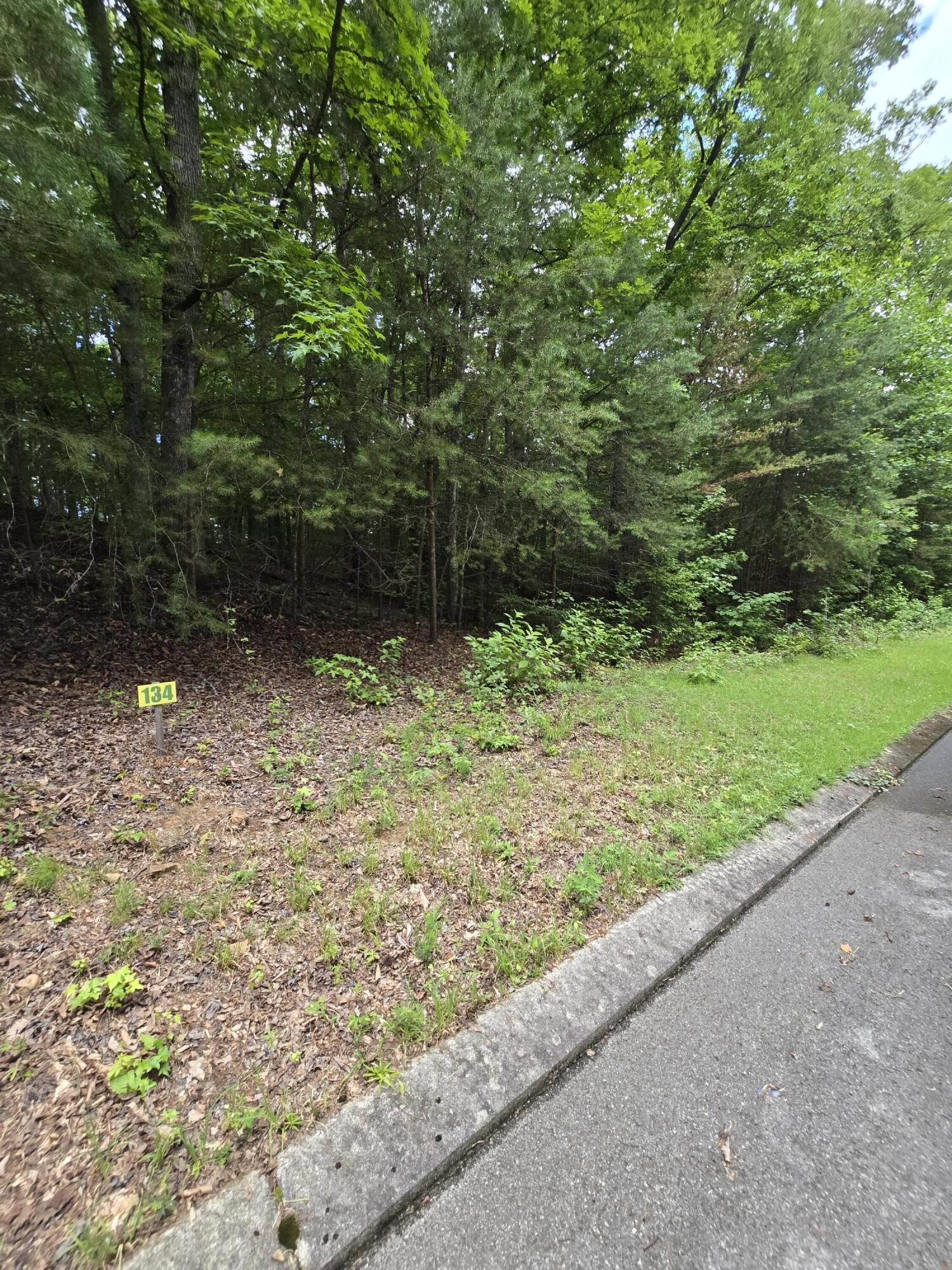 134 Lower Brow Road Dunlap, TN 37327 - Photo 2 of 3