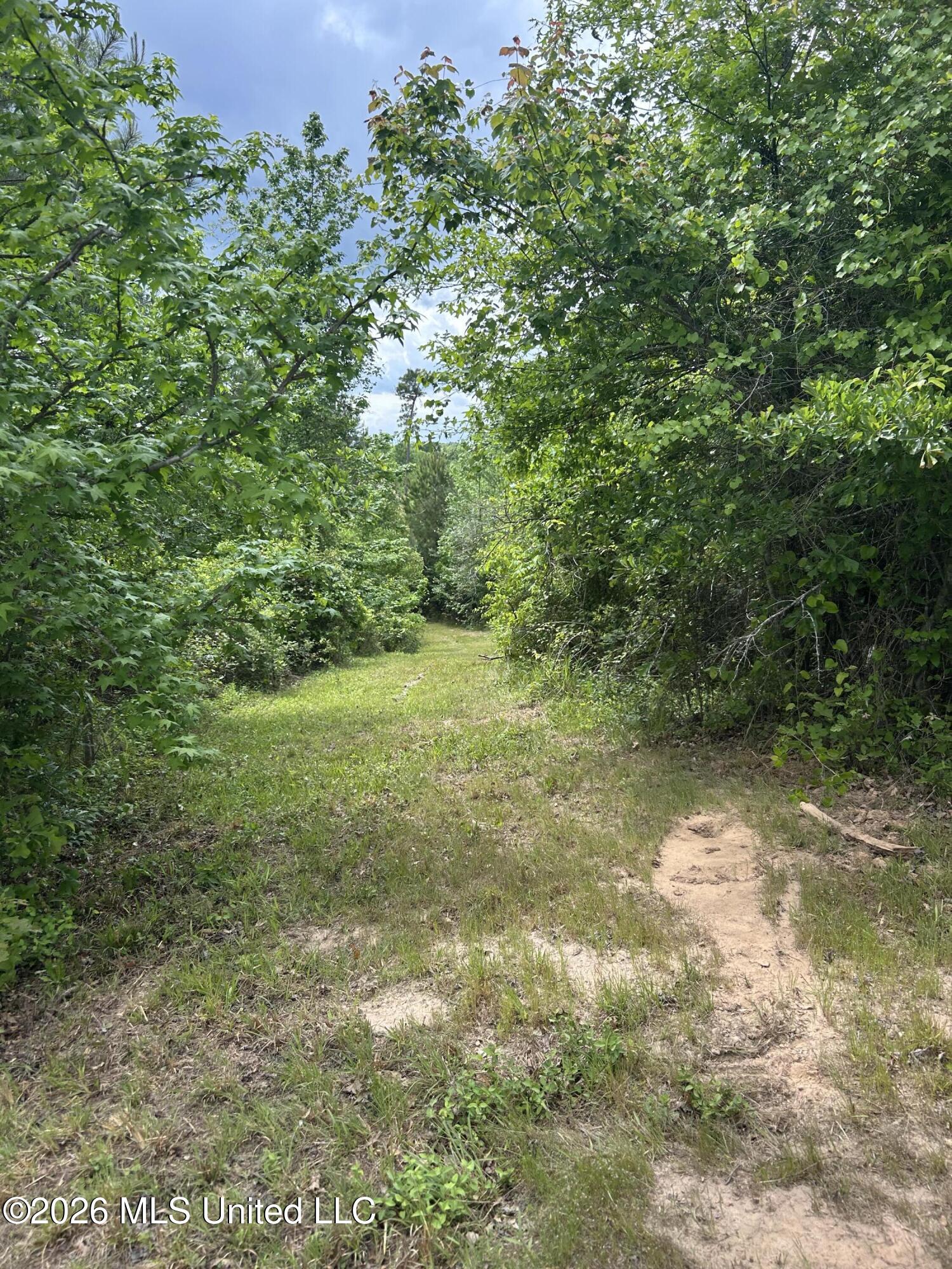 2608 County Road Philadelphia, MS 39350 - Photo 12 of 39 IMG_9626