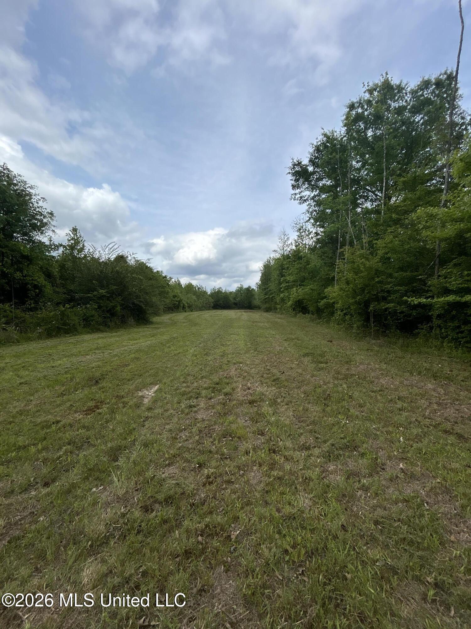 2608 County Road Philadelphia, MS 39350 - Photo 14 of 39 IMG_9623