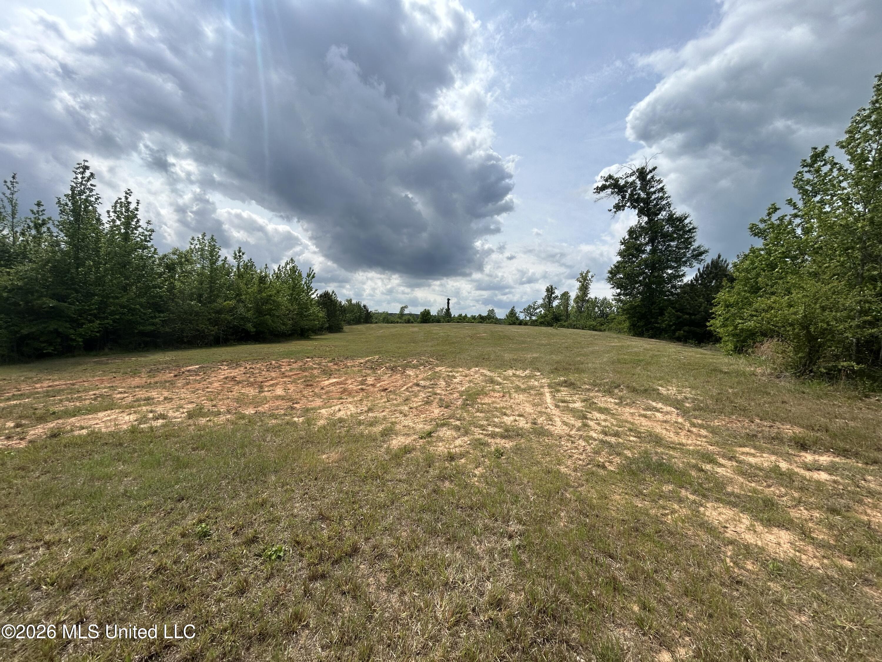 2608 County Road Philadelphia, MS 39350 - Photo 20 of 39 IMG_9614