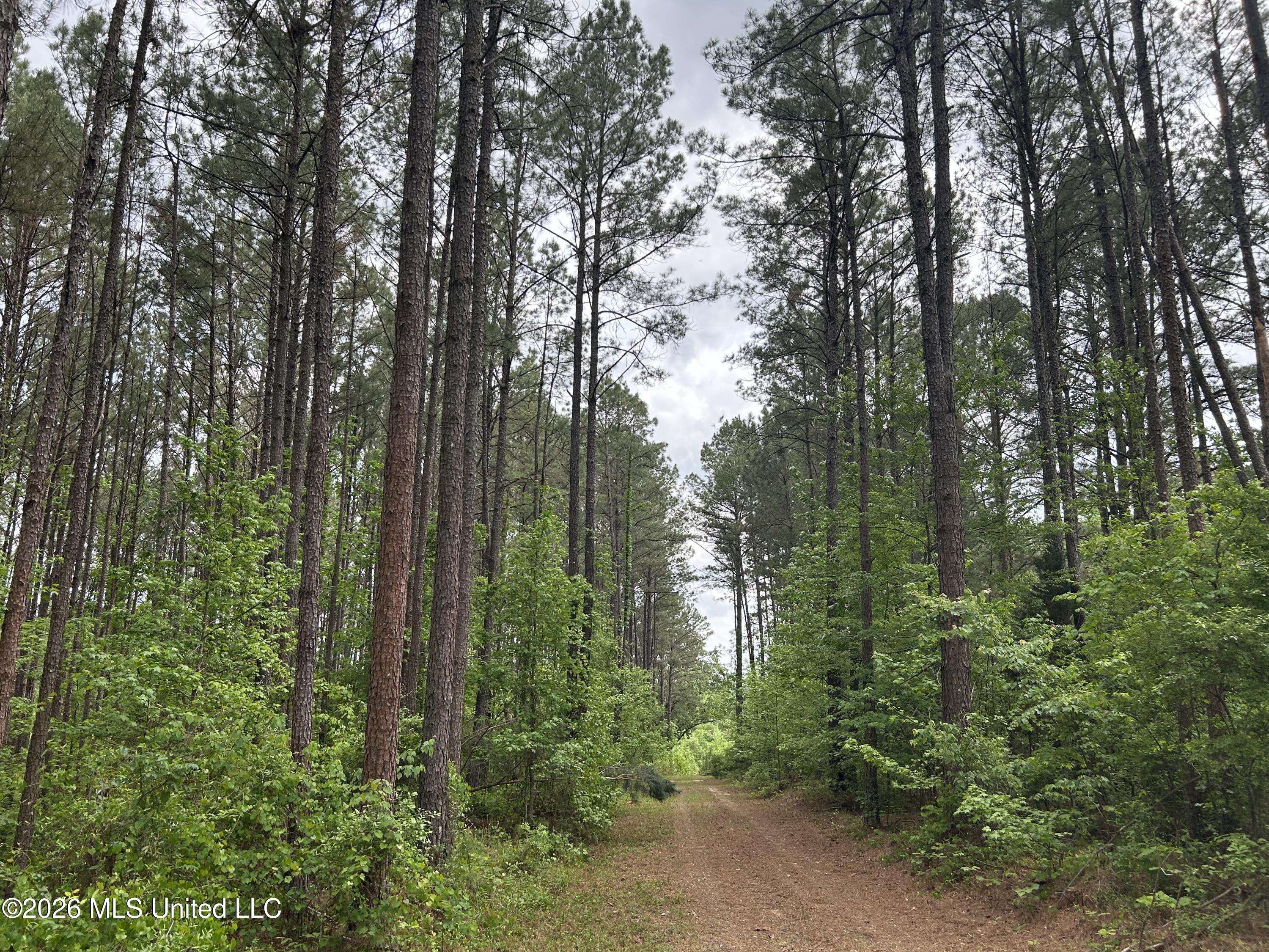 2608 County Road Philadelphia, MS 39350 - Photo 2 of 39 IMG_9601