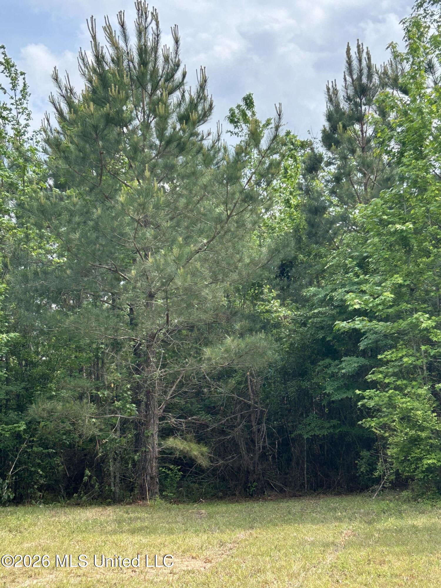2608 County Road Philadelphia, MS 39350 - Photo 23 of 39 IMG_9613