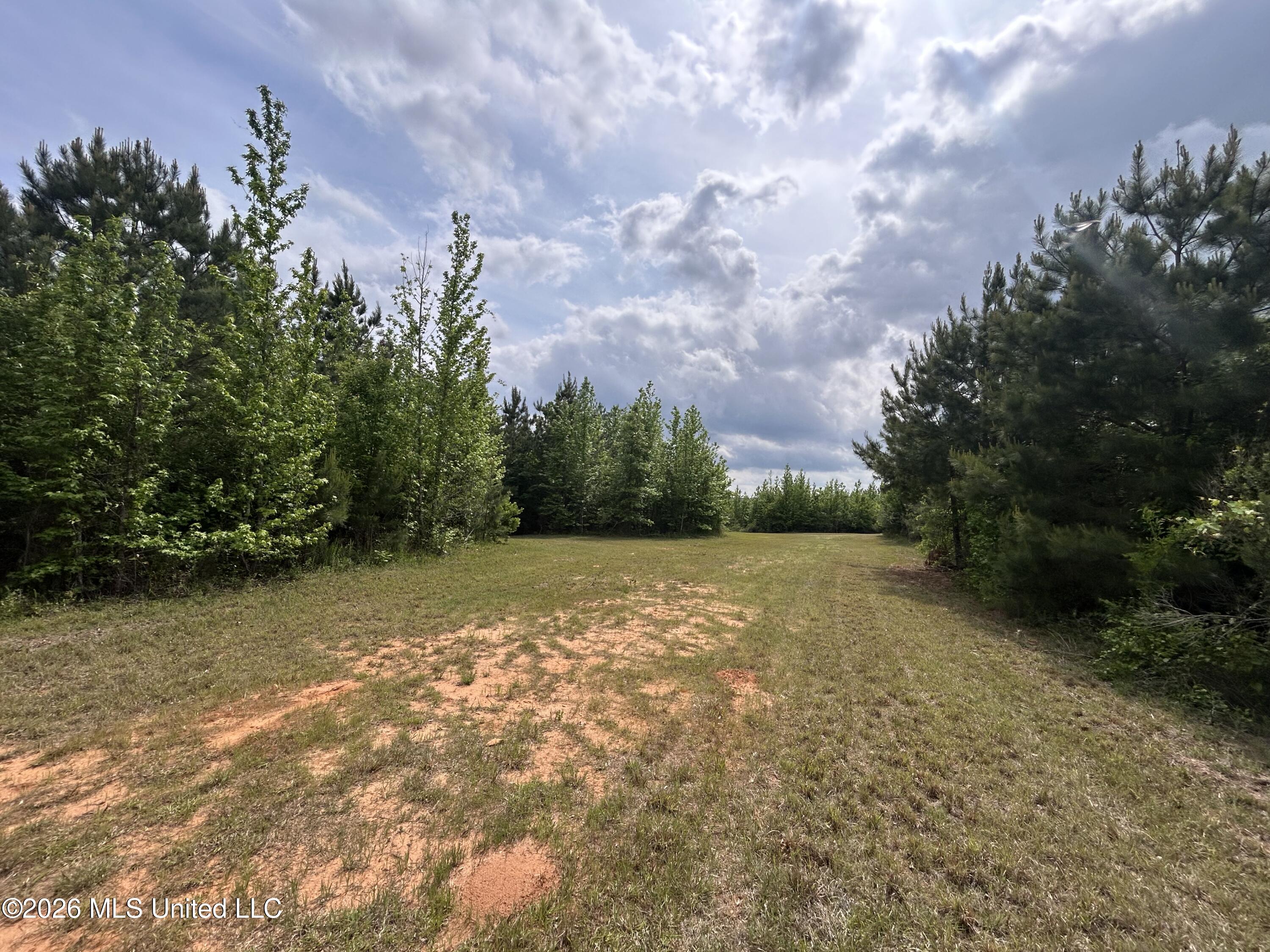 2608 County Road Philadelphia, MS 39350 - Photo 24 of 39 IMG_9612