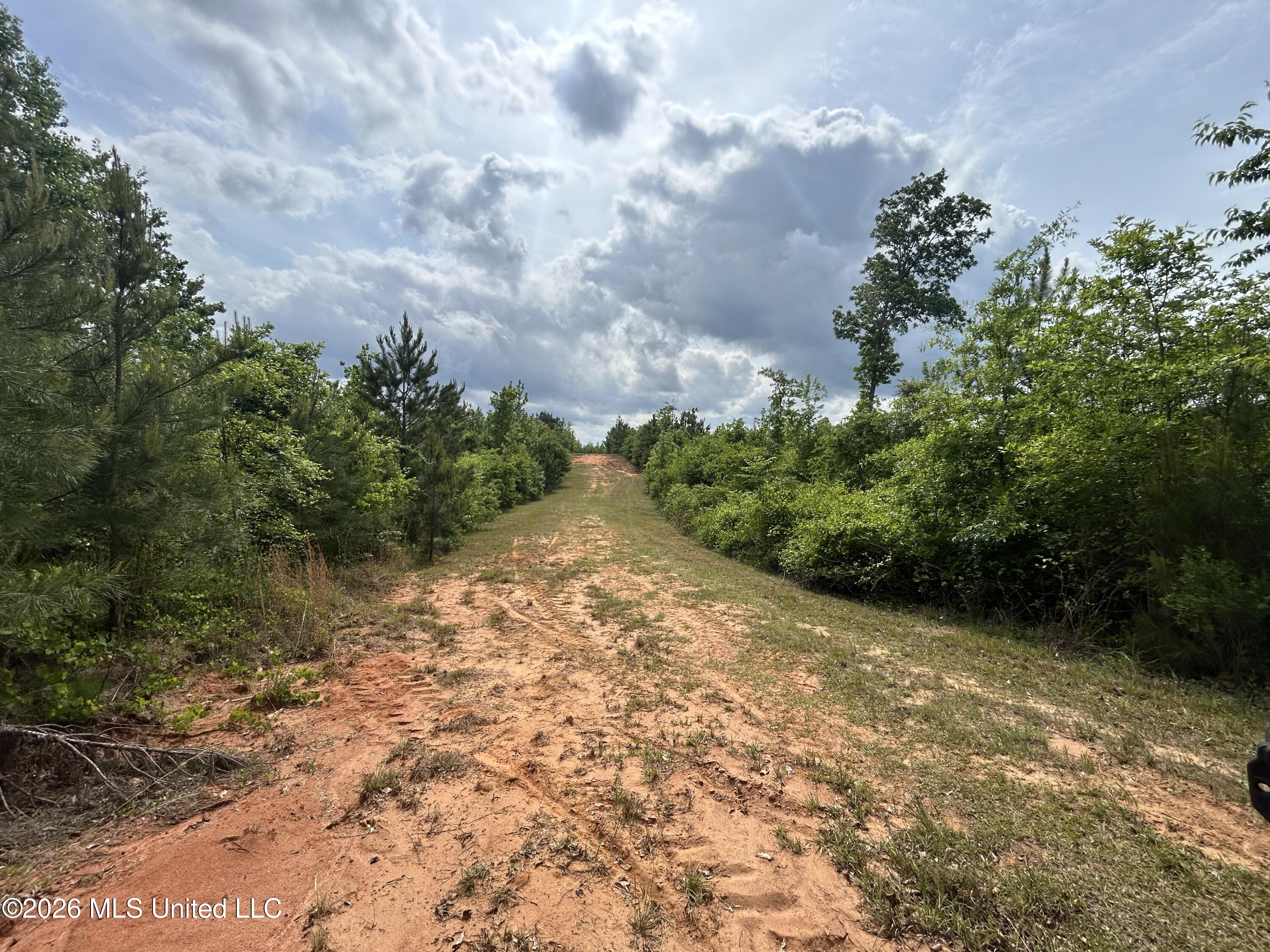 2608 County Road Philadelphia, MS 39350 - Photo 25 of 39 IMG_9611