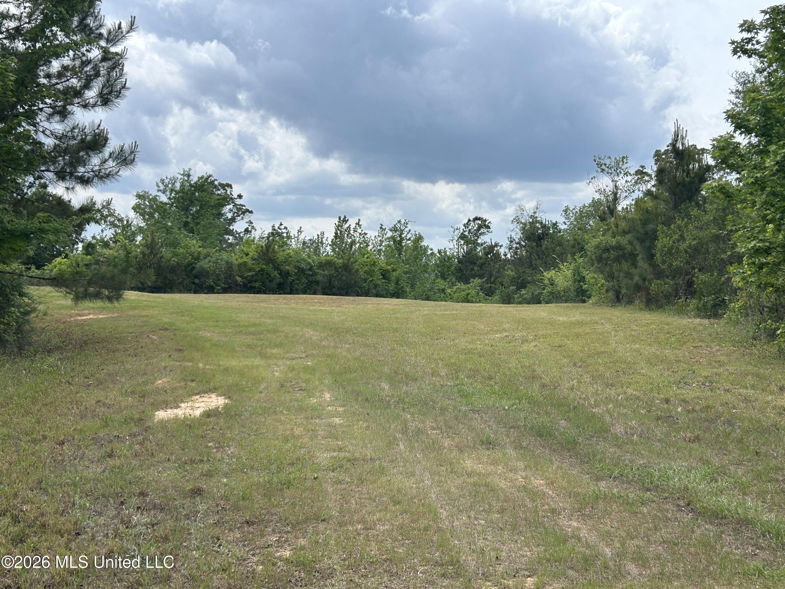 2608 County Road Philadelphia, MS 39350 - Photo 26 of 39 IMG_9609