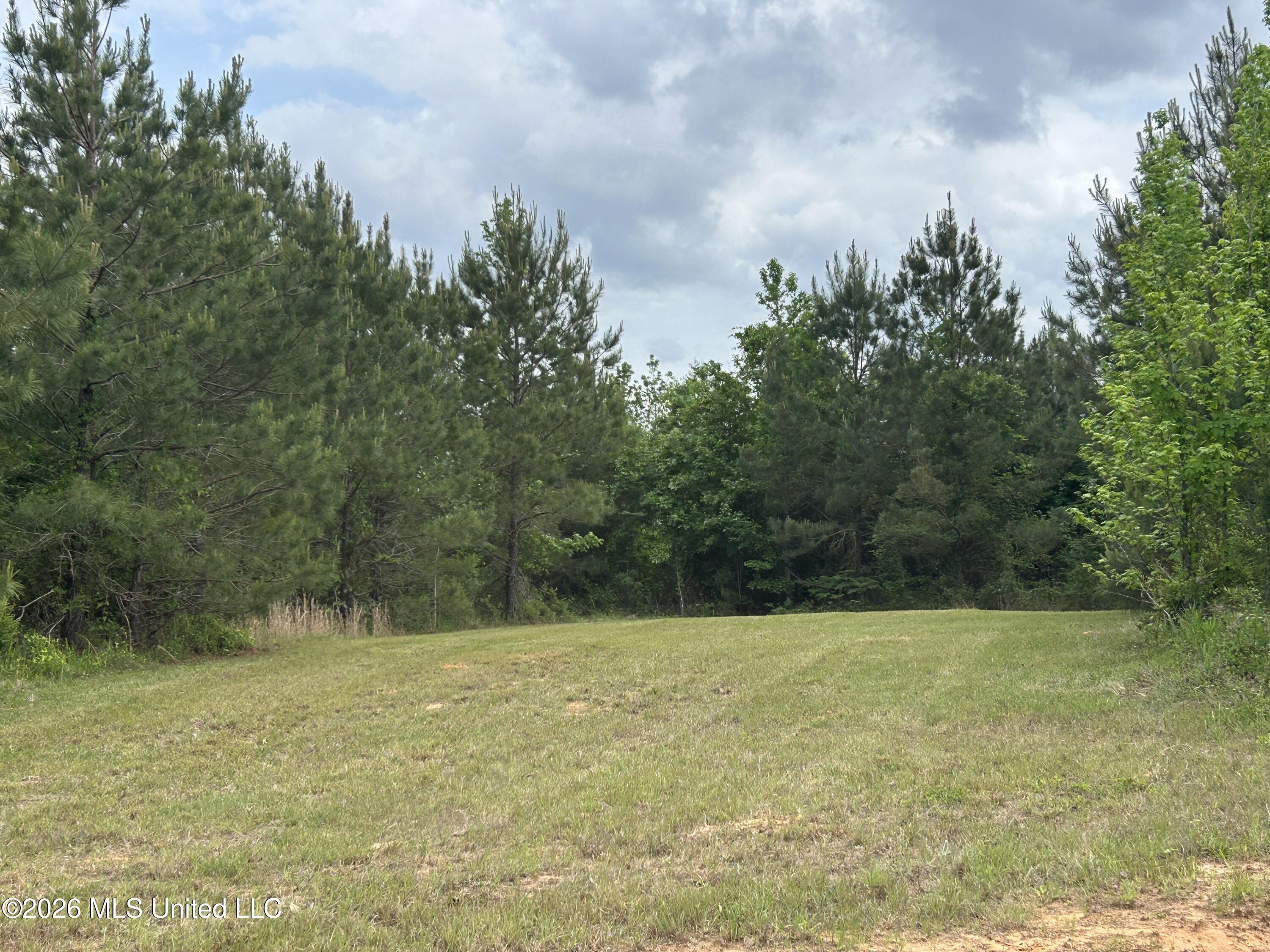 2608 County Road Philadelphia, MS 39350 - Photo 27 of 39 IMG_9608