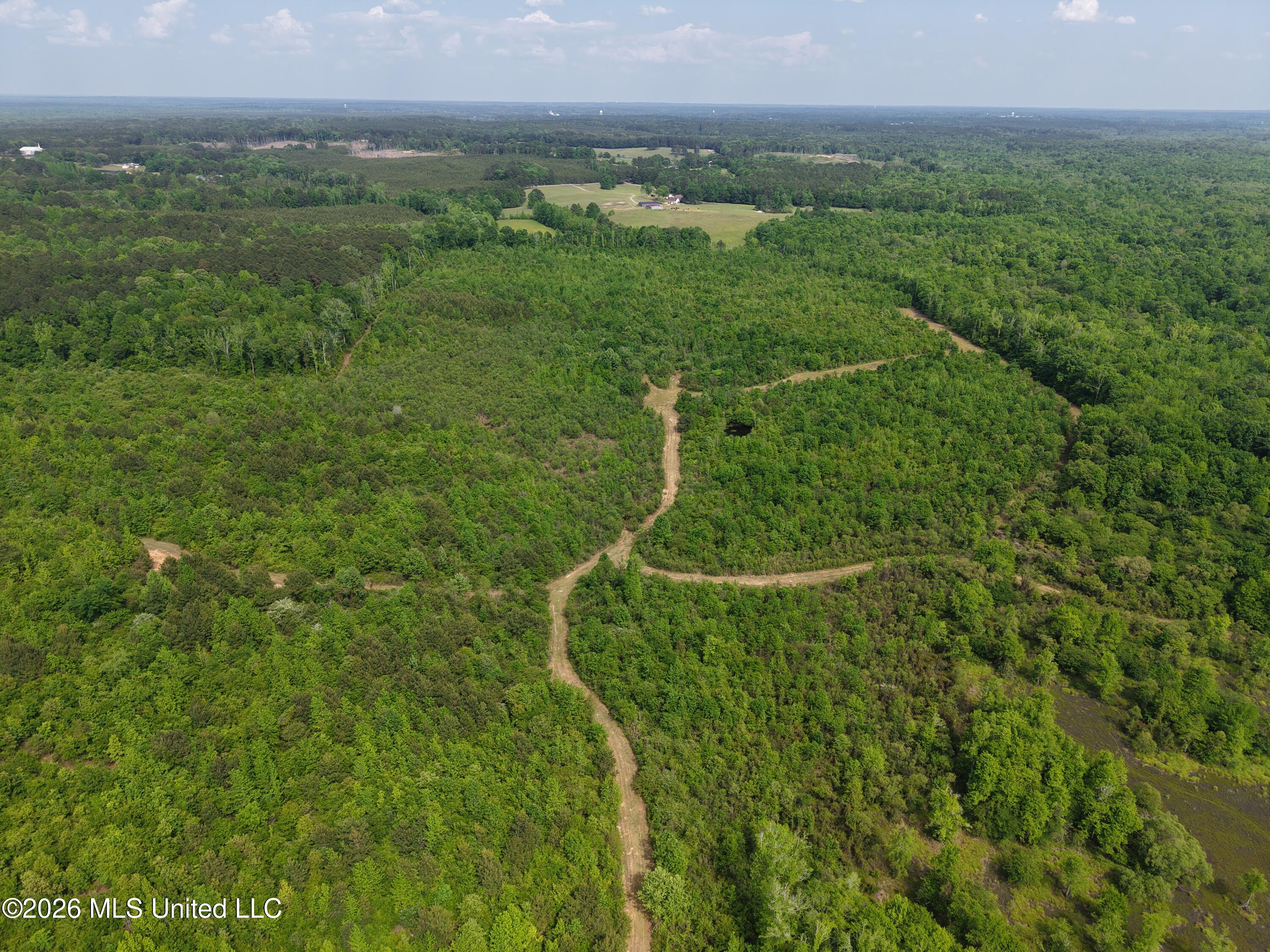 2608 County Road Philadelphia, MS 39350 - Photo 28 of 39 IMG_8333