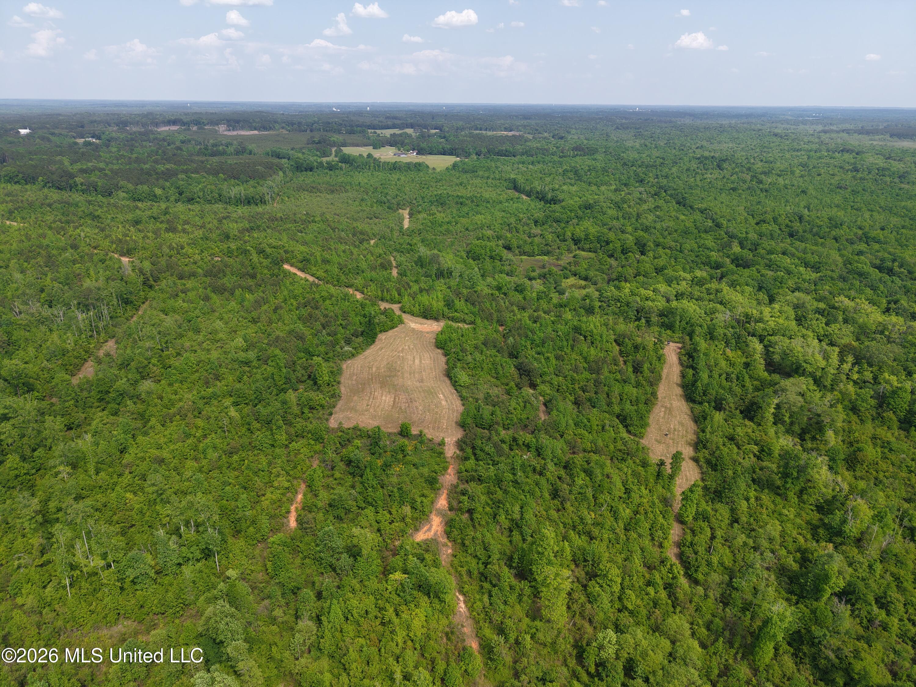 2608 County Road Philadelphia, MS 39350 - Photo 29 of 39 IMG_8331