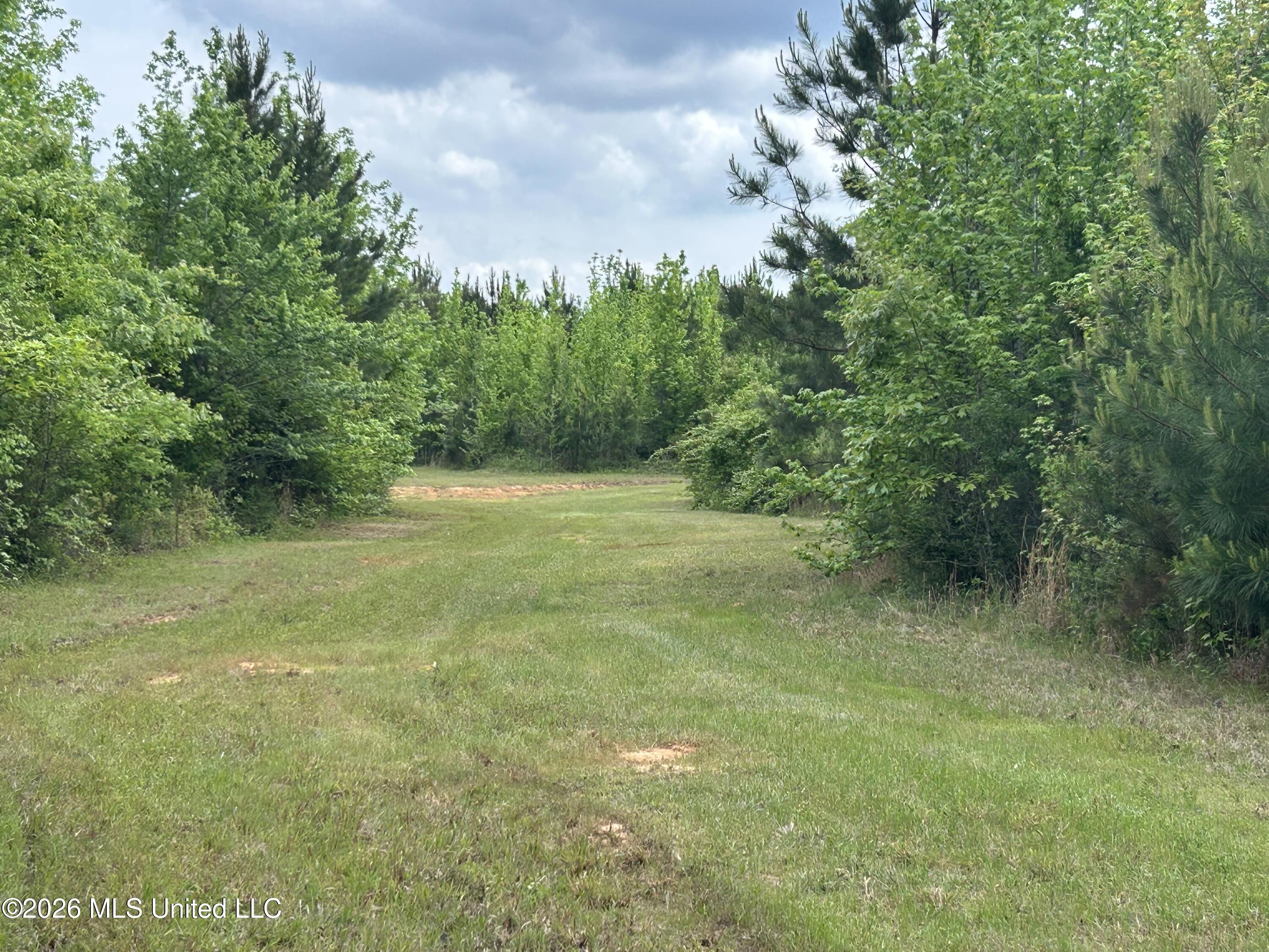 2608 County Road Philadelphia, MS 39350 - Photo 30 of 39 IMG_9607