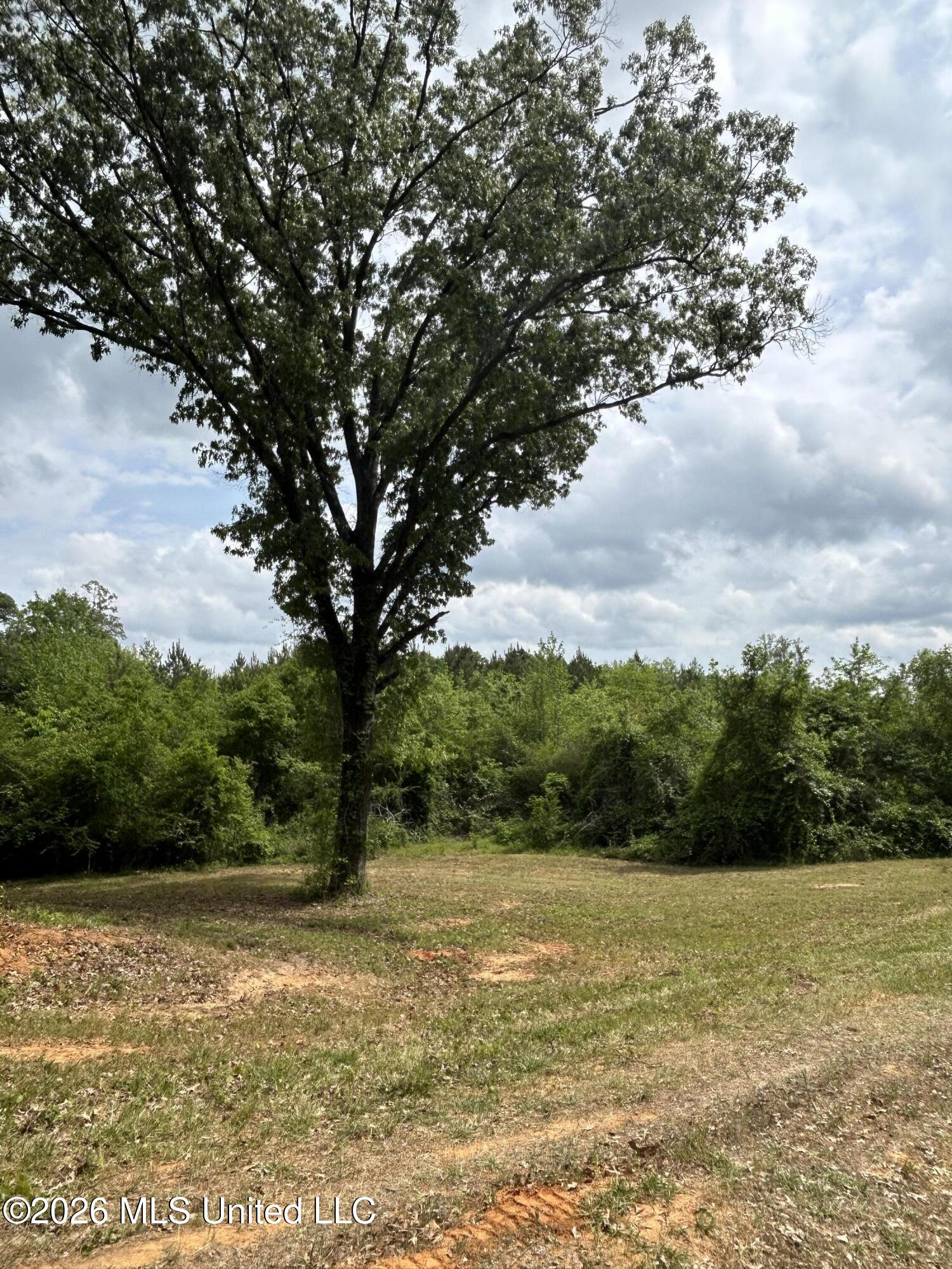 2608 County Road Philadelphia, MS 39350 - Photo 32 of 39 IMG_9604