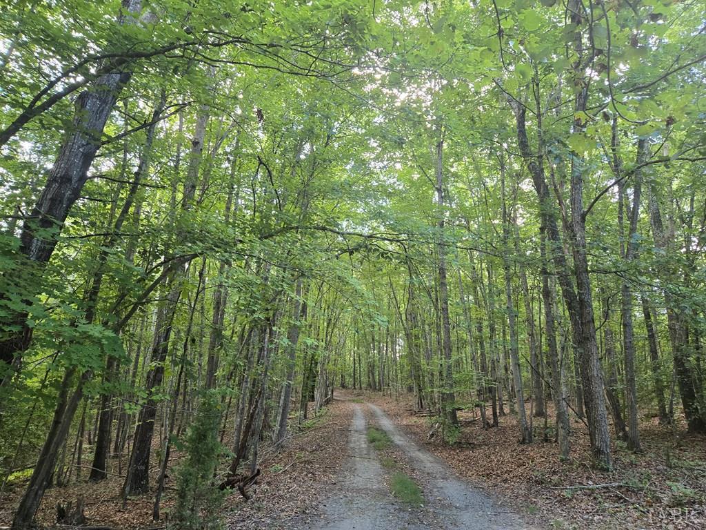 906 Equestrian Trail Road New Canton, VA 23123 - Photo 22 of 23 Gallery Image 22