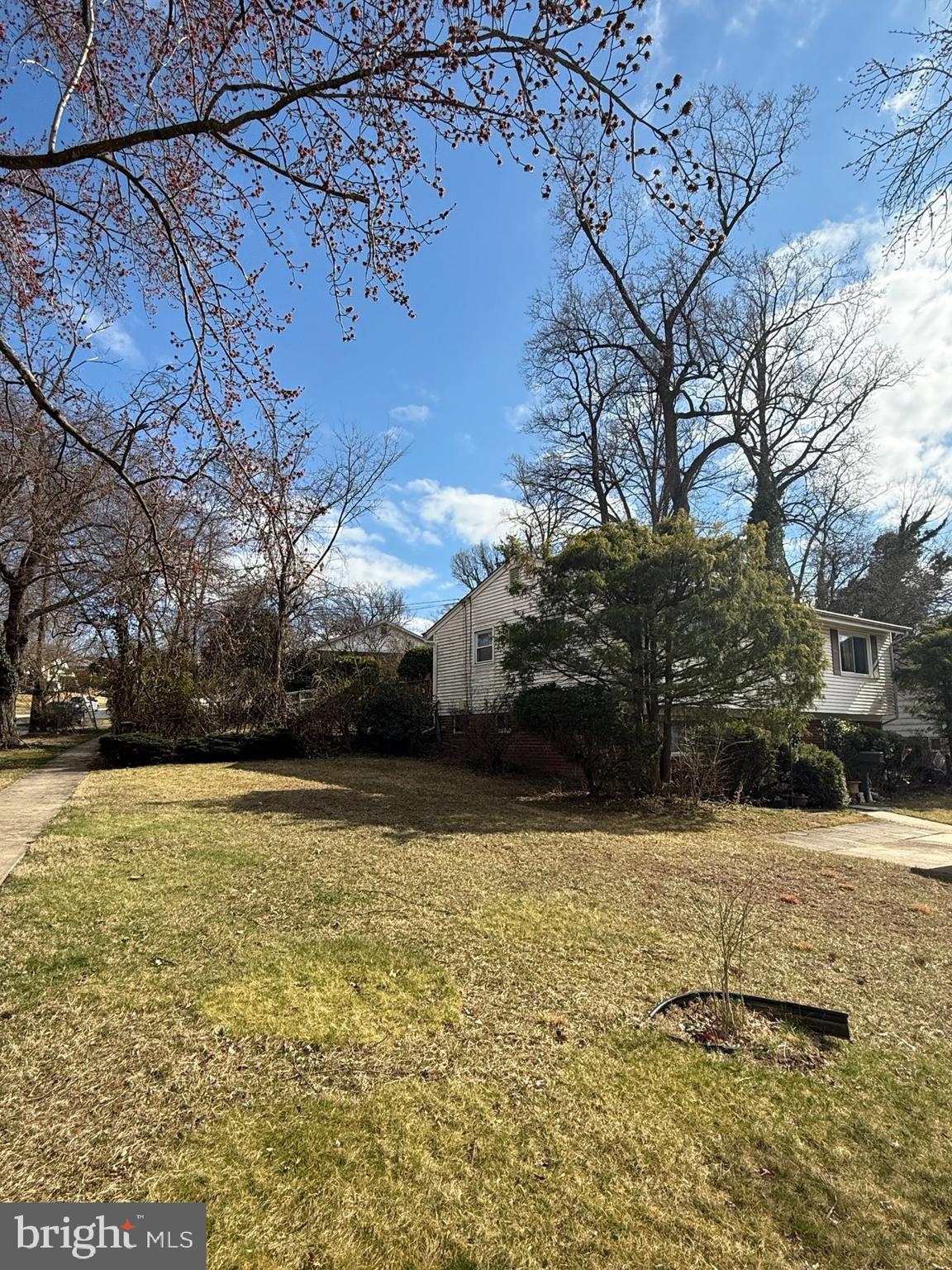 12841 Littleton Street Silver Spring, MD 20906 - Photo 2 of 2 a view of a yard with a large tree