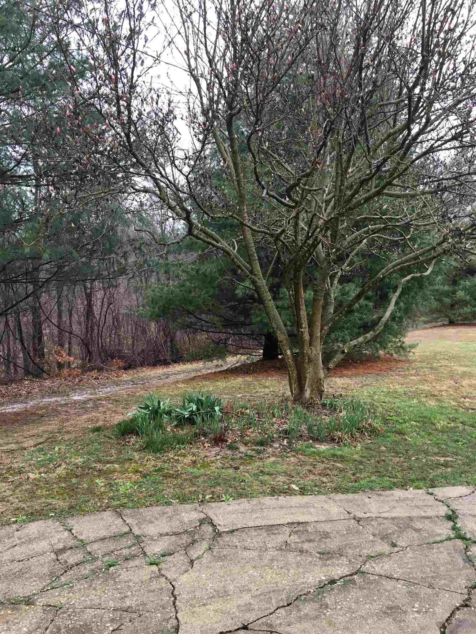 14131 Dover Hill Road Loogootee, IN 47553 - Photo 17 of 18