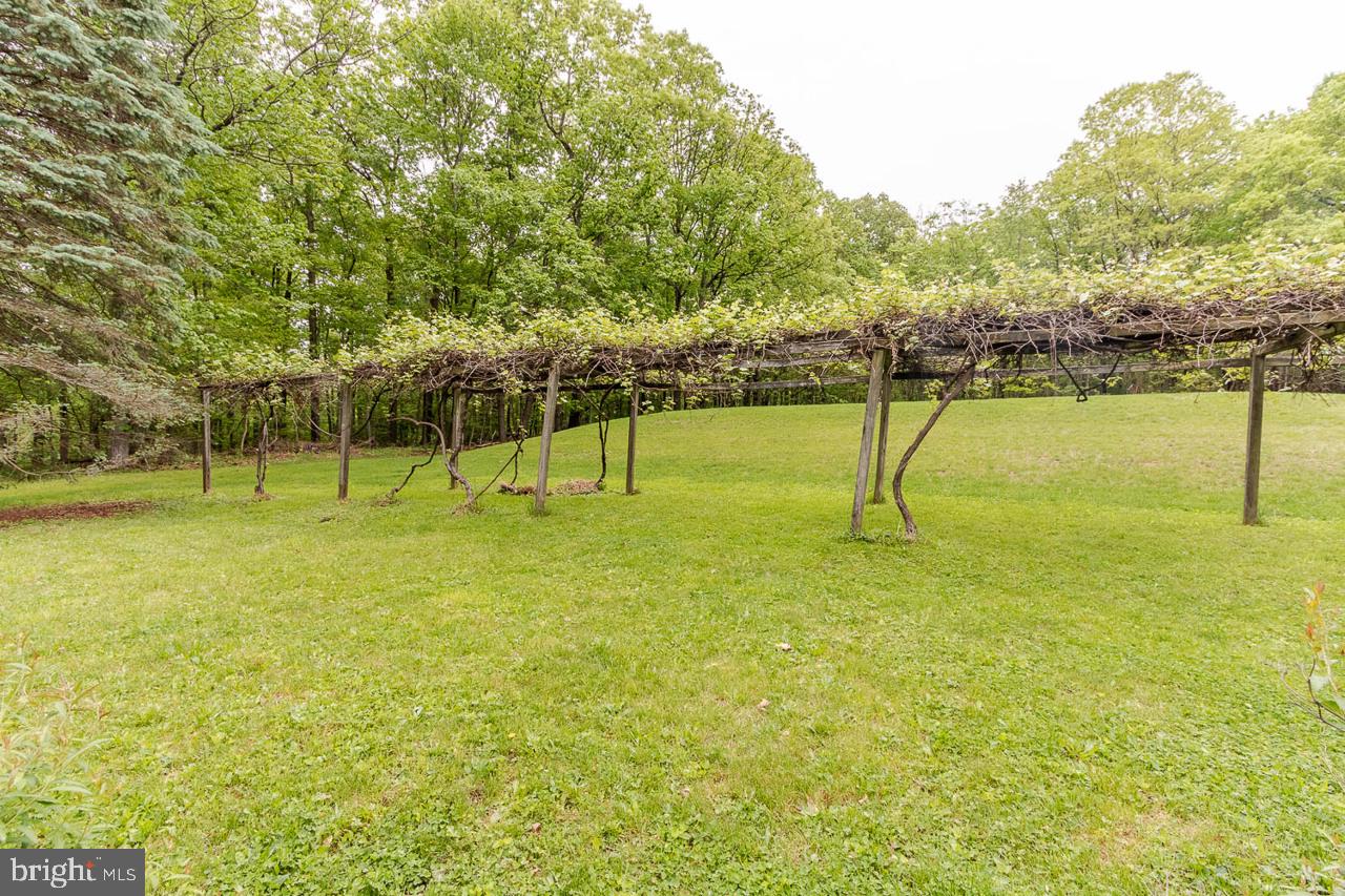 1834 Decker Hollow Road Tyrone, PA 16686 - Photo 11 of 40 a view of a swimming pool with a lake