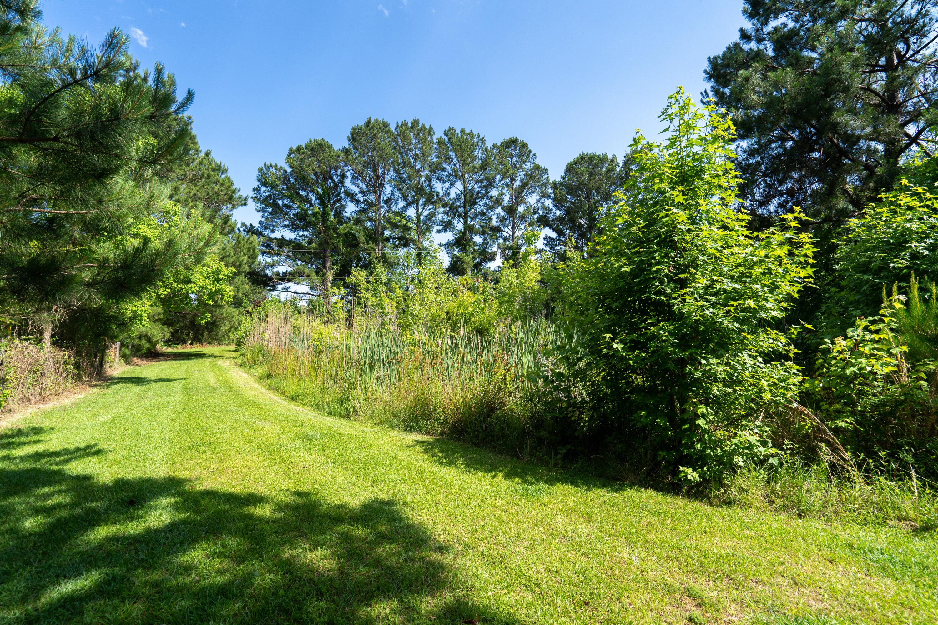 7682 Toogoodoo Road Meggett, SC 29449 - Photo 41 of 52 7682 Toogoodoo Road