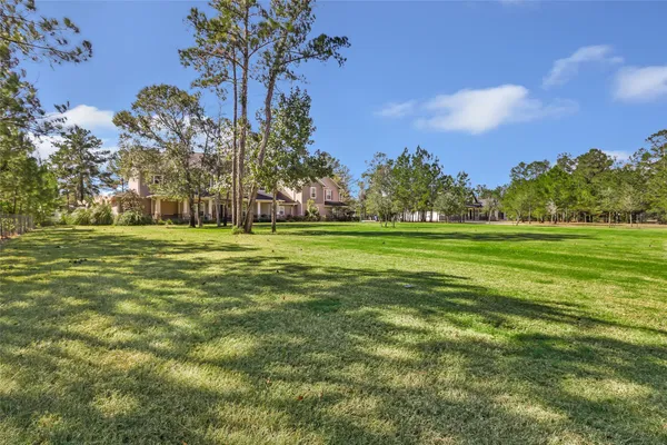 a big yard with lots of green space and palm trees