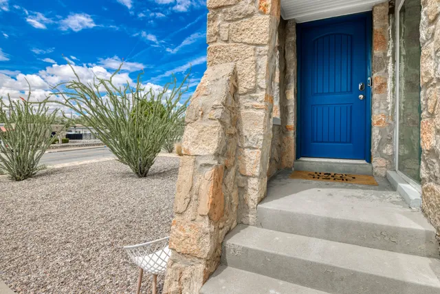 a potted plant sitting in front of a door