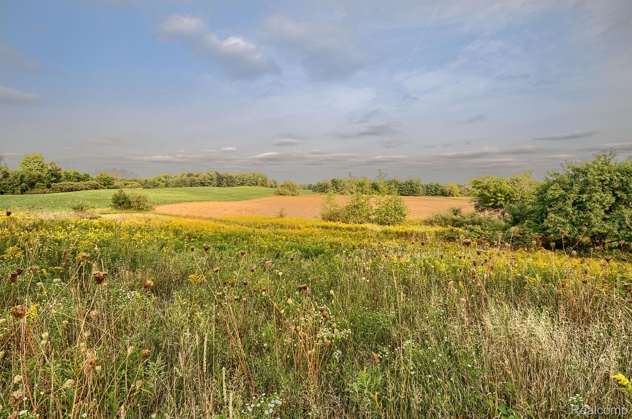 4431 Gosline Road Marlette, MI 48453 - Photo 46 of 67 Gallery Image 46