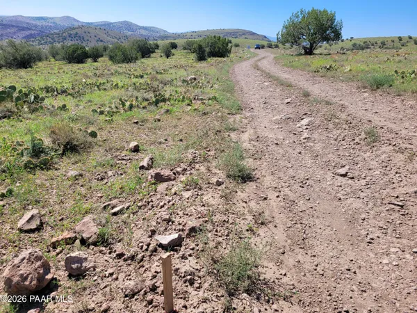 a view of a road with a dry yard