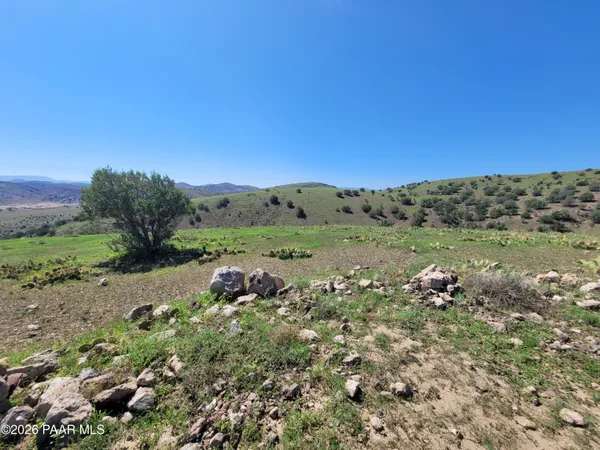 a view of a field with lots of green space