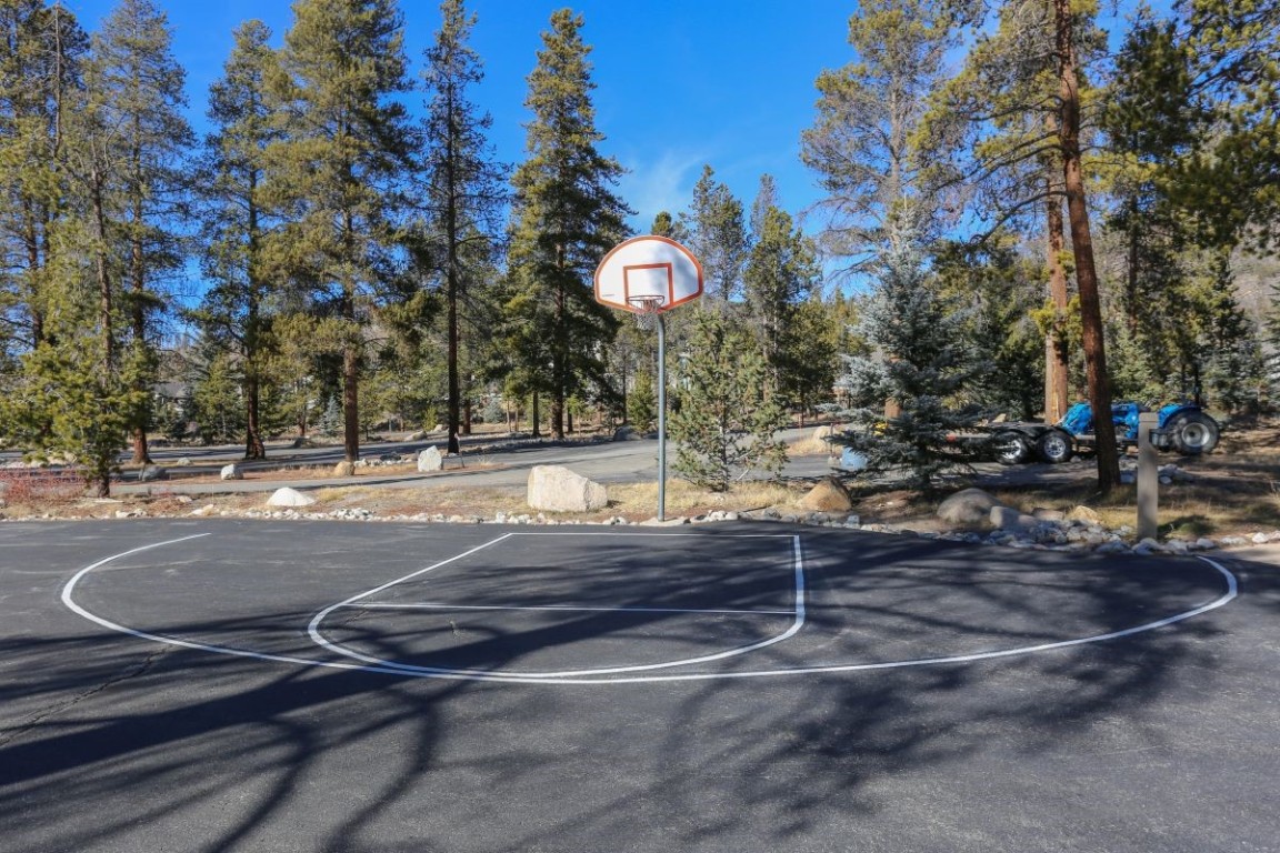 21680 Highway 6, Unit 2058 Keystone, CO 80435 - Photo 33 of 33 a view of a park with large trees