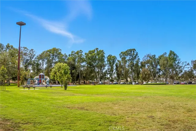 a view of a park with large trees