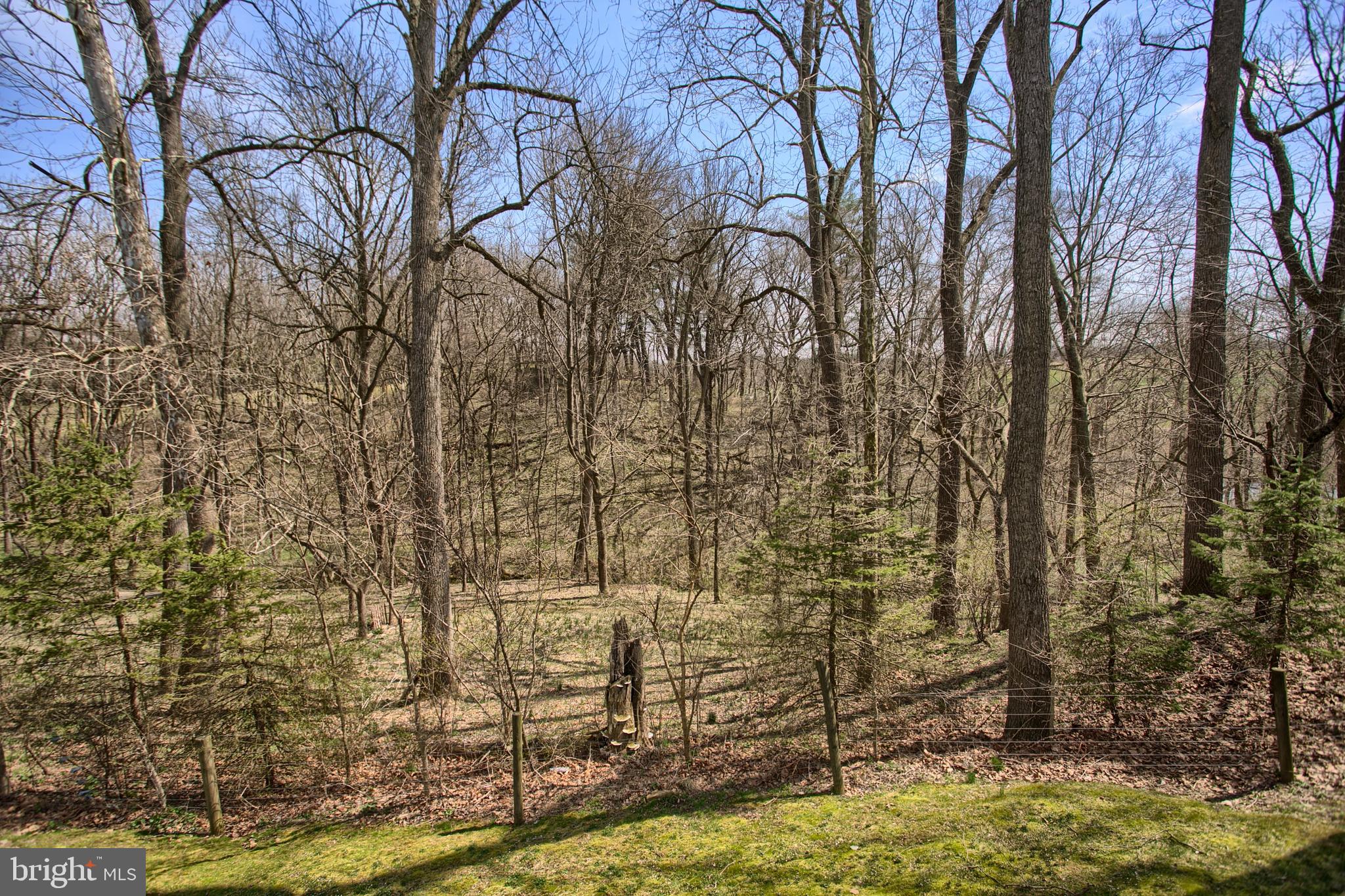 1786 Wilderness Road Lancaster, PA 17603 - Photo 38 of 43 Gallery Image 38