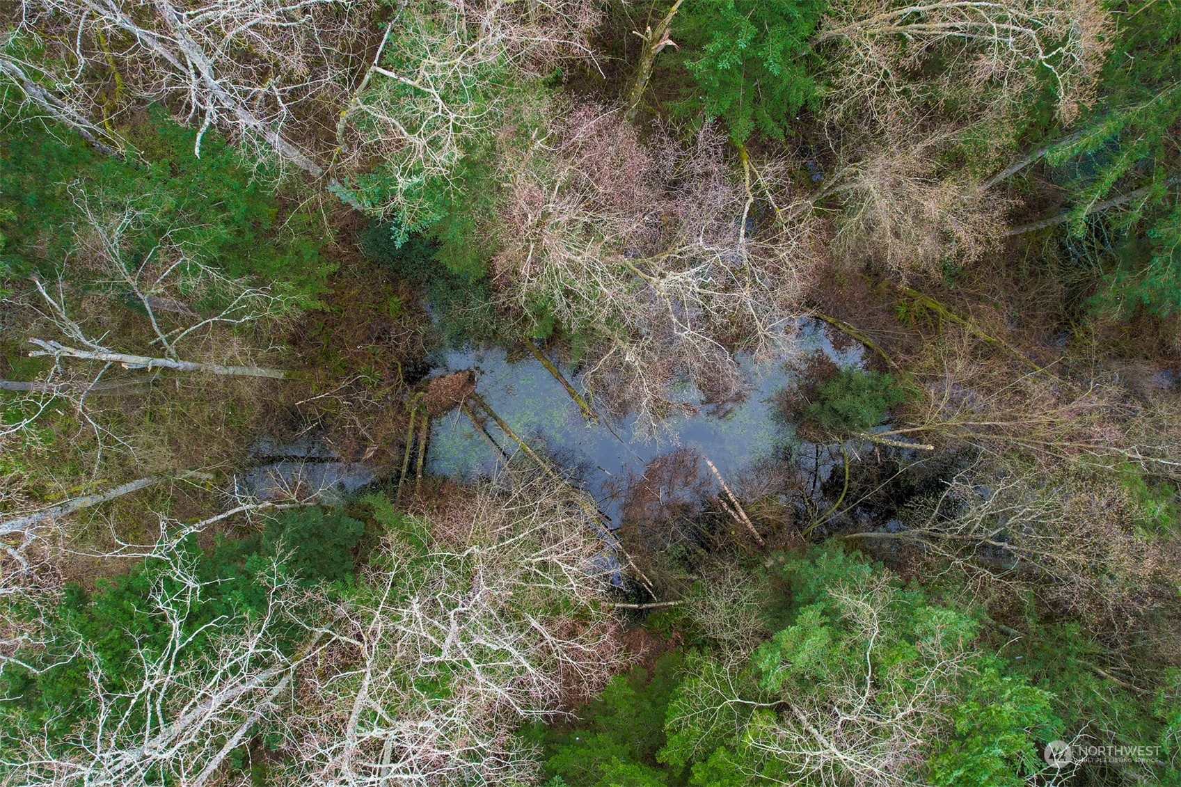 0 Valley View Road Ferndale, WA 98248 - Photo 19 of 26