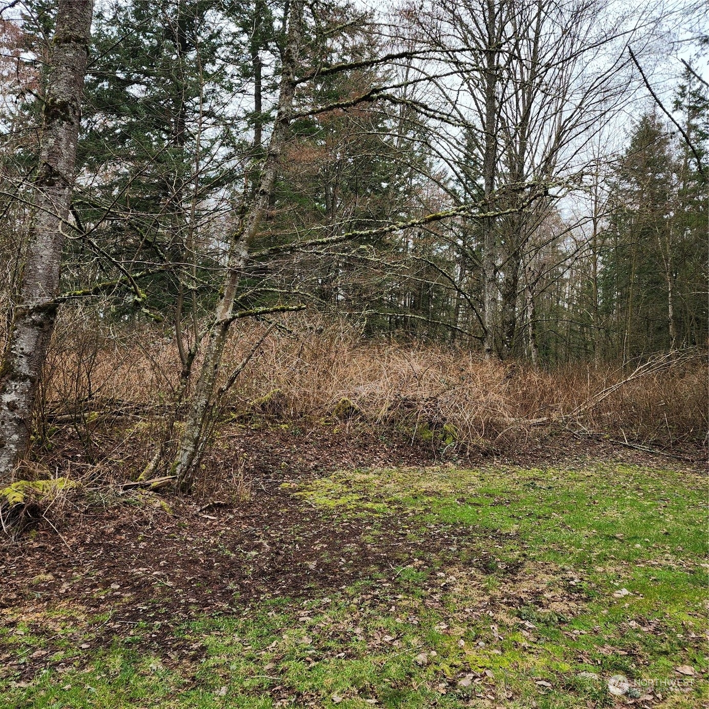 0 Valley View Road Ferndale, WA 98248 - Photo 8 of 26