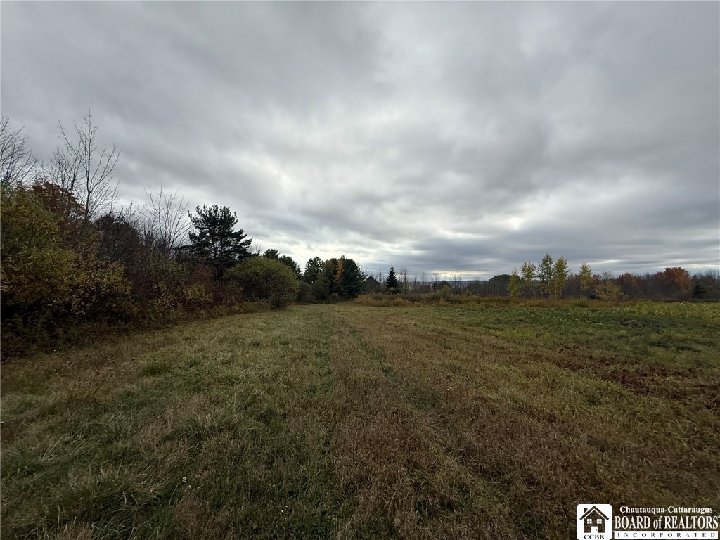 Oak Hill Road Jamestown, NY 14701 - Photo 14 of 20