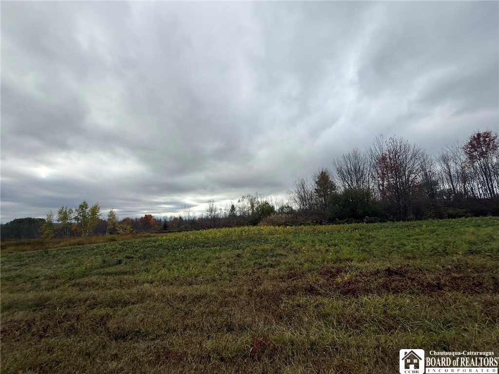 Oak Hill Road Jamestown, NY 14701 - Photo 15 of 20