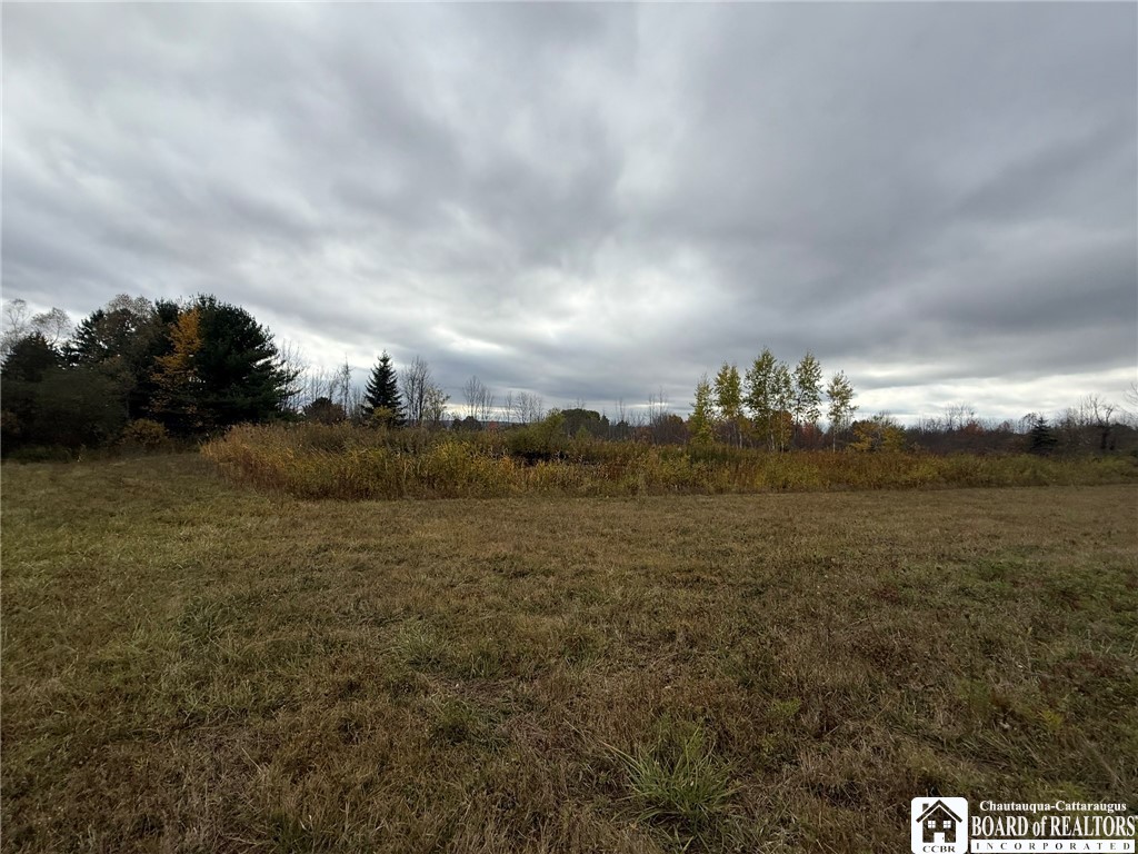 Oak Hill Road Jamestown, NY 14701 - Photo 16 of 20