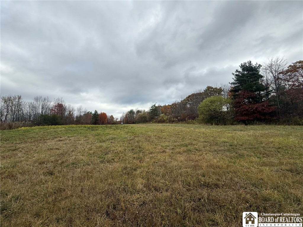 Oak Hill Road Jamestown, NY 14701 - Photo 18 of 20