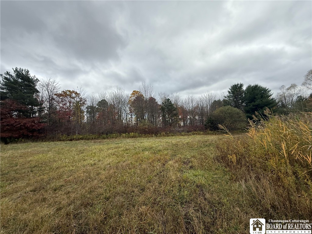 Oak Hill Road Jamestown, NY 14701 - Photo 20 of 20