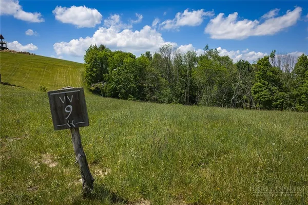 a view of a back yard