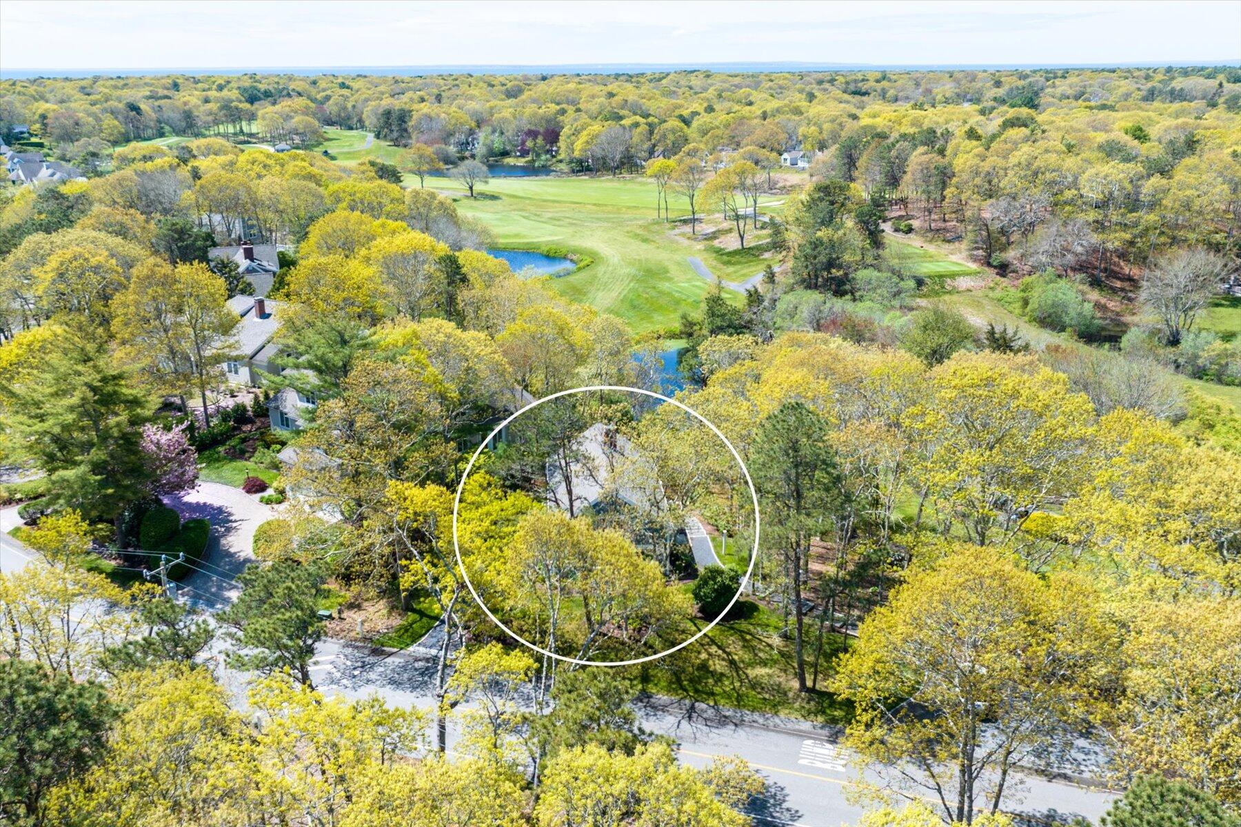 15 Greensward Road Mashpee, MA 02649 - Photo 26 of 27 a view of a yard